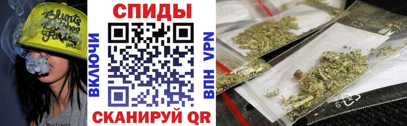 гидра ссылка  как найти закладки  Камышлов  БУТИРАТ 1.4BDO 