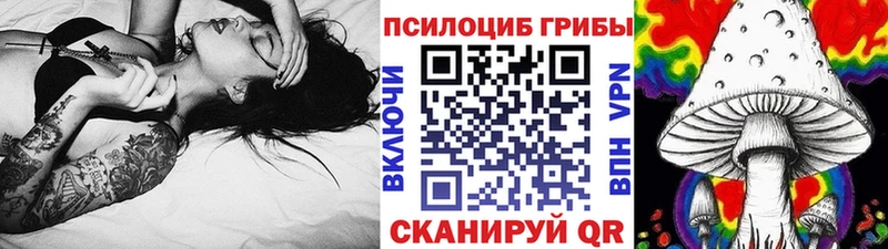 Псилоцибиновые грибы ЛСД Камышлов